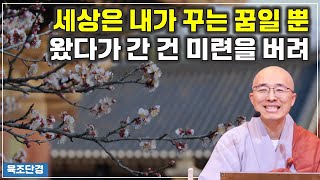 [육조34] 왔다가 간 체험은 버려, 세상은 내가 꾸는 꿈일 뿐