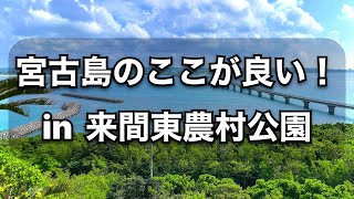 【宮古島案内】島人だから知っている穴場（来間東農村公園）