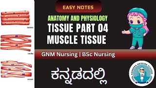 Tissue Part 04  || Muscle Tissue In Kannada || Anatomy And Physiology || Kannada nursing Classes