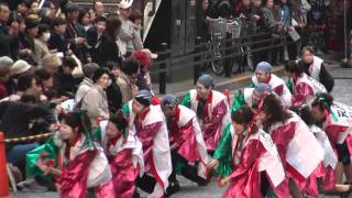 原宿表参道元気連さん＠2010　町田夢舞生ッスイ祭