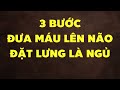 3 Bước Đơn Giản Để Đưa Máu Lên Não Và Đặt Lưng Cái Là Ngủ Ngon Một Mạch Đến Sáng | HYT3