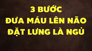 3 Bước Đơn Giản Để Đưa Máu Lên Não Và Đặt Lưng Cái Là Ngủ Ngon Một Mạch Đến Sáng | HYT3