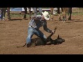 arena legacy tie down roping