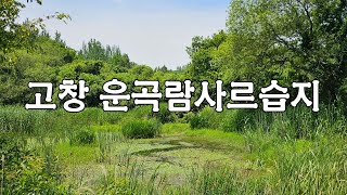 고창가볼만한곳,고창 운곡람사르습지 탑방로,고창 고인돌