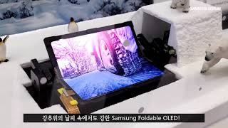 [IMID 2021] 극한의 저온에서도 끄덕없는 삼성의 최신 Foldable OLED ! IMID 2021에서 직접 공개!