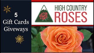 🌹 (Giveaway Ended) 5 GIVEAWAYS // $30 Gift Card to High Country Roses // US \u0026 Canada