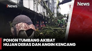 Pohon Tumbang Menimpa 3 Ruko dan 7 Kendaraan di Jakarta Pusat - iNews Sore 02/12