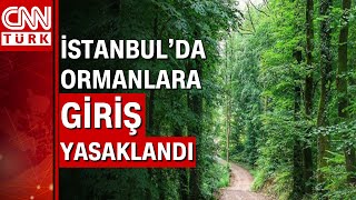 İstanbul Valiliği'nden ormanlara giriş yasağı!