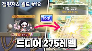 상급 EXP 교환권으로 275렙 | 챌린저스 월드 #18