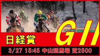 重賞予想 2021年3月27日 日経賞 【過去データ＋推奨馬・対抗馬紹介動画