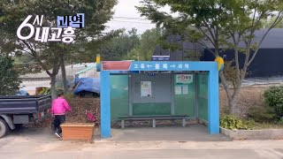 [6시내고흥]100원 버스 타고 고흥 터미널에서 과역 터미널까지