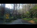 Black Spur Drive at Maroondah Highway in Yarra Ranges Victoria