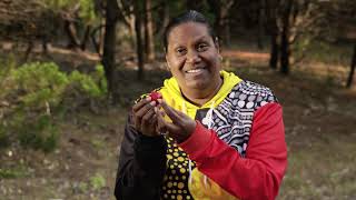 Nyoongar bush foods with Bindi Bindi Dreaming