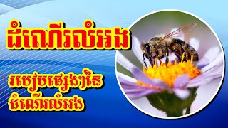 អំពីដំណើរលំអង|Pollination