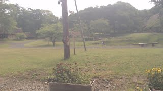 みちのく民俗村ライブ 2023.05.27 08:52