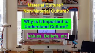 what is culture? (Material Culture and Non-Material Culture, Beliefs and Values, etc.) 什么是文化？