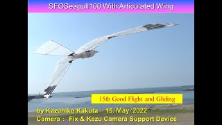 サーボ駆動カモメ型羽ばたき機 SFOSeagull100 32g : 16th Good Flight and Gliding in Wind