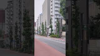 甲州街道　八王子市新町　2024 7.14 #八王子市