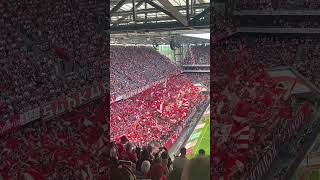 Fahnenmeer Choreo FC Köln gg FC Bayern 27.05.23 #shorts