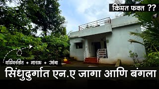 सिंधुदुर्गात वाडीवस्तीत 7 गुंठे एन.ए जागा आणि 2 बीएचके बंगला ! नारळ + आंबा लागवडीसहीत किंमत ? | P248