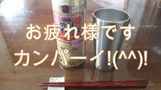 家飲みですよ～215　お疲れ様です カンパーイ！【酒動画】【飯動画】