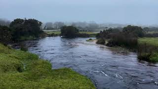 Rainy Stream Sounds at English Moors | Flowing Water, Distant Thunder & Falling Rain for Sleeping