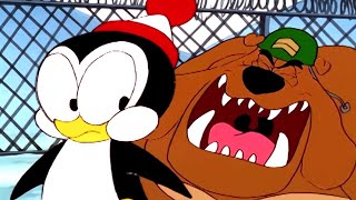 Chilly Willy Full Episodes 🐧The legend of rockabye point 🐧Kids Movie | Videos for Kids