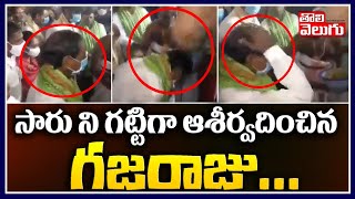 సారు ని గట్టిగా ఆశీర్వదించిన గజరాజు | CM KCR Elephant Blessings Video Goes Viral | Tolivelugu TV