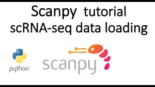 Scanpy tutorial: Loading Single Cell RNA seq data using Scanpy and AnnData