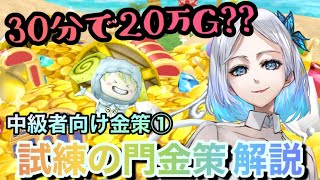 【ドラクエ10】30分で約20万ゴールド⁉︎試練の門でめっちゃ稼ぐ方法！（初心者でもワンチャンイケる）