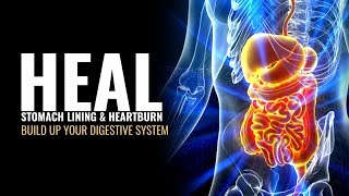 Build Up Your Digestive System | Heal Stomach Lining and Heartburn | Reset Your Gut Bacteria | 528Hz