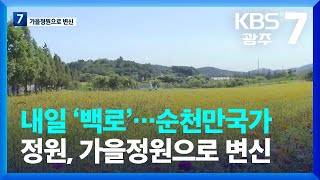 [여기는 전남] 내일 ‘백로’…순천만국가정원, 가을정원으로 변신 / KBS  2023.09.07.