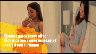 Goginsa garaa yeroo ulfaa - constipation during pregnancy