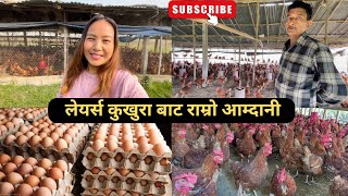 लेयर्स कुखुरा पालन गर्न सके राम्रो आम्दानी हुन्छ💰Layers chicken farming/Poultry farming information