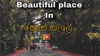 Beautiful place  in කොස් කැලේ  ,sri lnaka melsiripura🇱🇰❤️