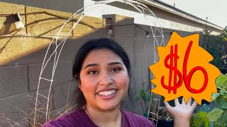 How I Make Arched Garden Trellises For Under $6 For Climbing Plants