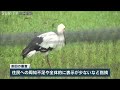 「山陰海岸ジオパーク」再認定へ ユネスコ審査官がコウノトリ郷公園視察