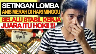 Setingan Lomba ANIS MERAH di Hari Minggu Ala Mandrak || Membuat Burung Selalu Kerja. Juara Itu Hoky!