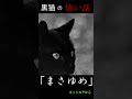 shorts　それは運命なのか⁉【怖い話】【朗読】【黒猫の怖い話】「まさゆめ」ネットロアから引用