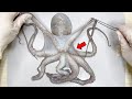 What's Inside an Octopus ? - Octopus Dissection