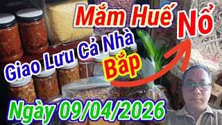 Giao Lưu Đặc Sản Huế Cá Rò, Tôm Chua, Cà Pháo, Cũ Kiệu, Tôm Khô #HậuHuế | Ngày 09/04/2026