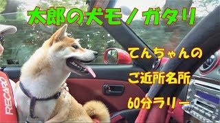 【柴犬子犬】てんちゃん、60分で名所をどれだけまわれるか⁉　太郎の犬モノガタリ＃５２