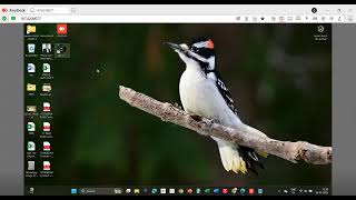 How To Install SQLExpress 2008 & Connect Ontime