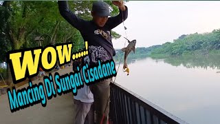 Mancing Lele Di Sungai Dapetnya Ikan Tawes Dan Monster Penghuni Sungai  Di Kira Strike Babon