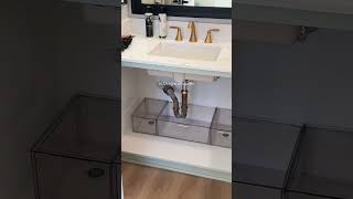 organizing under my bathroom sink (NO BUILT-IN DRAWERS)