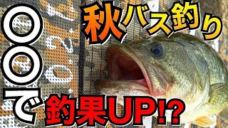 【秋バス釣り】〇〇がヤバい‼︎短時間で秋バスを釣るコツや方法‼︎オススメルアー公開‼︎【佐賀バス釣り】