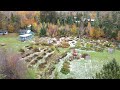 autumn in the forest garden