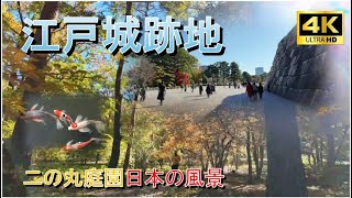 【皇居東御苑/二の丸庭園】江戸城跡地の雑木林の紅葉/ヒレナガ錦鯉