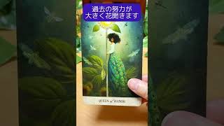 【タロット】🌻今のあなたに必要な一言メッセージ🃏🍀🔮