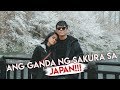 MY 1ST SAKURA EXPERIENCE IN JAPAN - KZ Tandingan Vlog